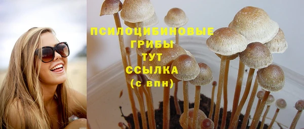 a pvp Армянск