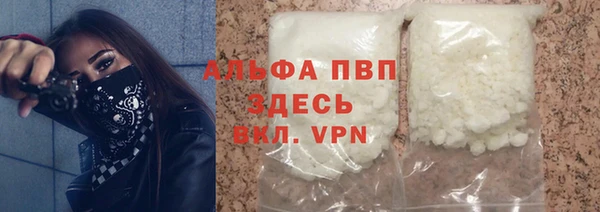 прущие грибы Аркадак