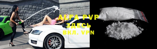 прущие грибы Аркадак