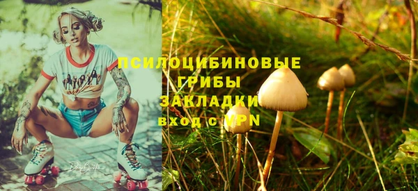 прущие грибы Аркадак