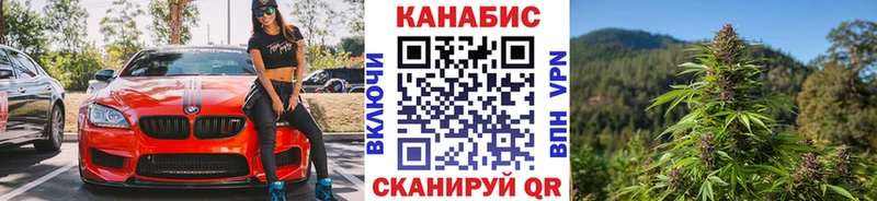 Бошки марихуана сатива  продажа наркотиков  Олёкминск 